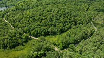 0000 Ril lake Road S • Lake of Bays, ON photo 6
