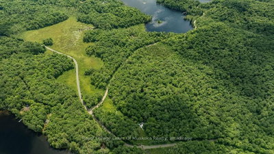 0000 Ril lake Road S • Lake of Bays, ON photo 8