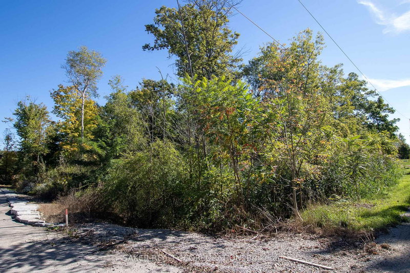 22480 Troops Rd, Strathroy-Caradoc, N0L 1W0 | Image 3