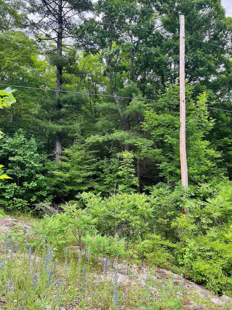 home for sale on 0 (PIN - 40264- Potter Settlement Road