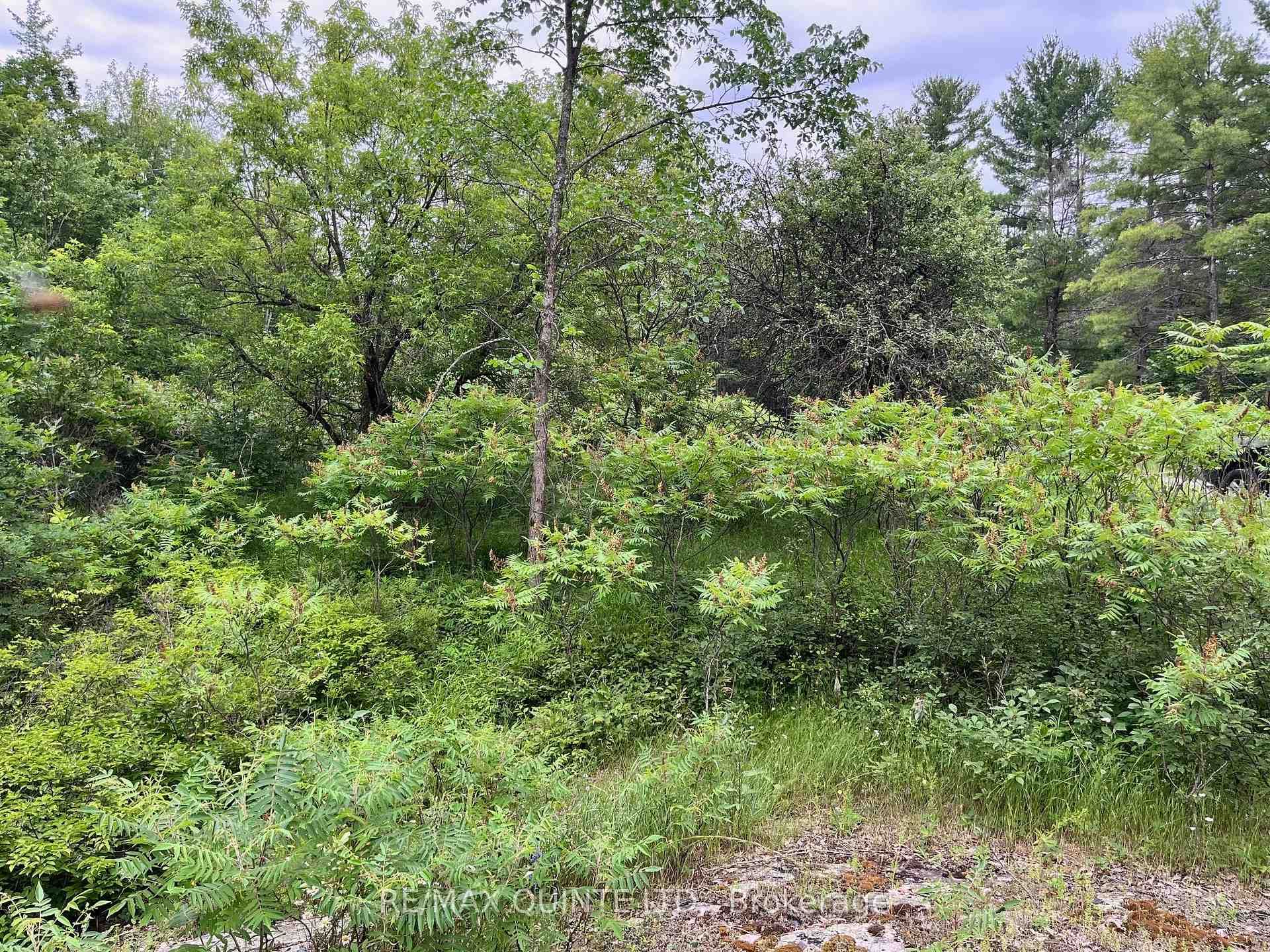 0 (PIN - 40264- Potter Settlement Road