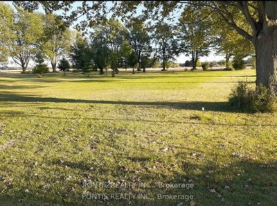 7059 DUFFERIN Avenue — photo 5