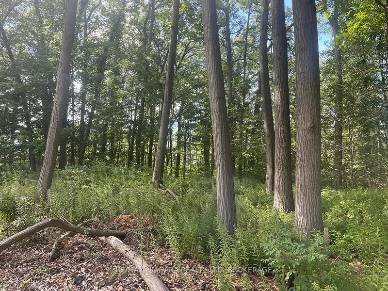 Pt 1 & 2 FIRELANE 3 Rd, Port Colborne, L3K 5V5 | Image 3