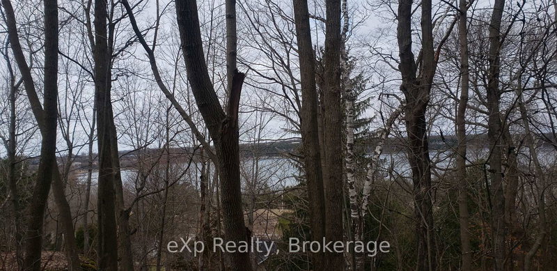 PT PKLT PPL ,PT FRANK St, South Bruce Peninsula, N0H 2T0 | Image 3