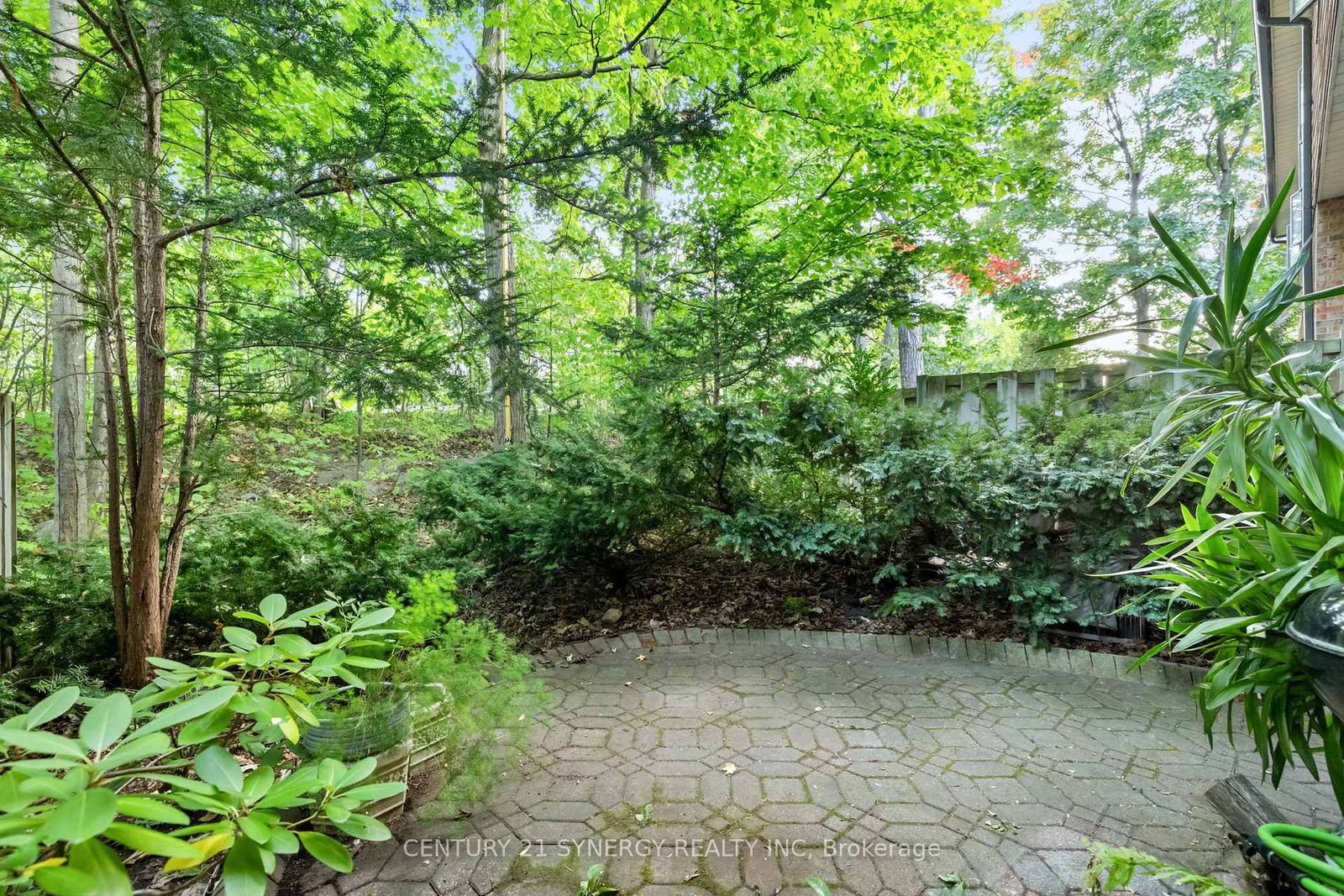 Listing Image 31
