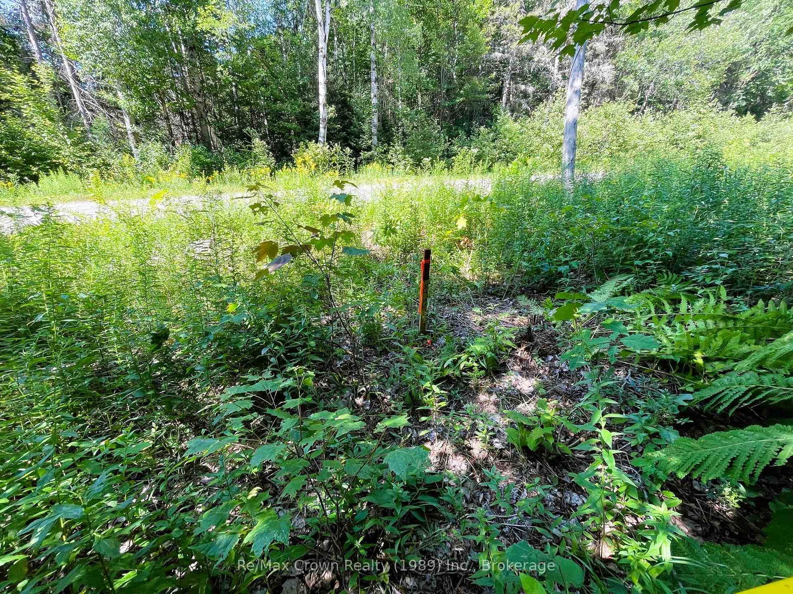 0 Barrett Road • Nipissing, ON photo 17