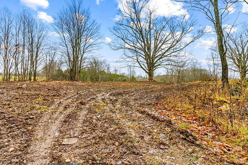 Part 2 16R6350 - PtLt 16 5 Sdrd, Chatsworth, N0H 1G0 | Image 3