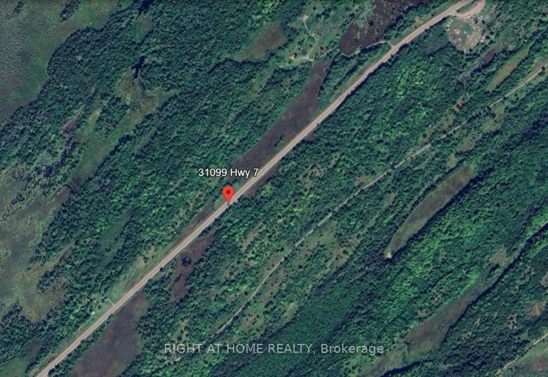 31099 Highway 7