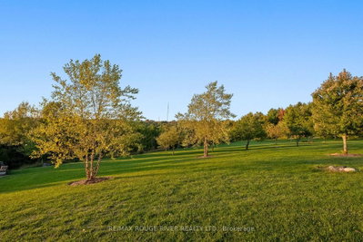 3622 Alnwick Hills Road • Hamilton Township, ON photo 8