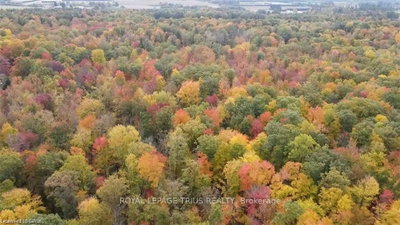 PT LT 20 7th Concession Road — photo 5
