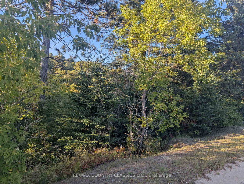 00000 Opeongo Line, Barry's Bay, K0J 1B0 | Image 2