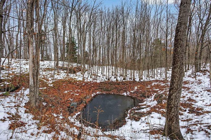 0 HILLTOP Rd, Mountain Grove, K0H 2E0 | Image 2