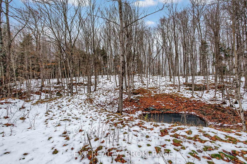 0 HILLTOP Rd, Mountain Grove, K0H 2E0 | Image 3