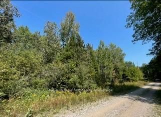 25 I Street • Cockburn Island, ON photo 6