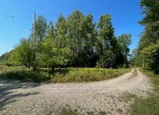 25 I Street • Cockburn Island, ON photo 7