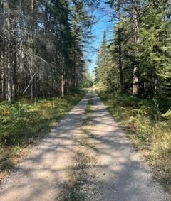 25 I Street • Cockburn Island, ON photo 8
