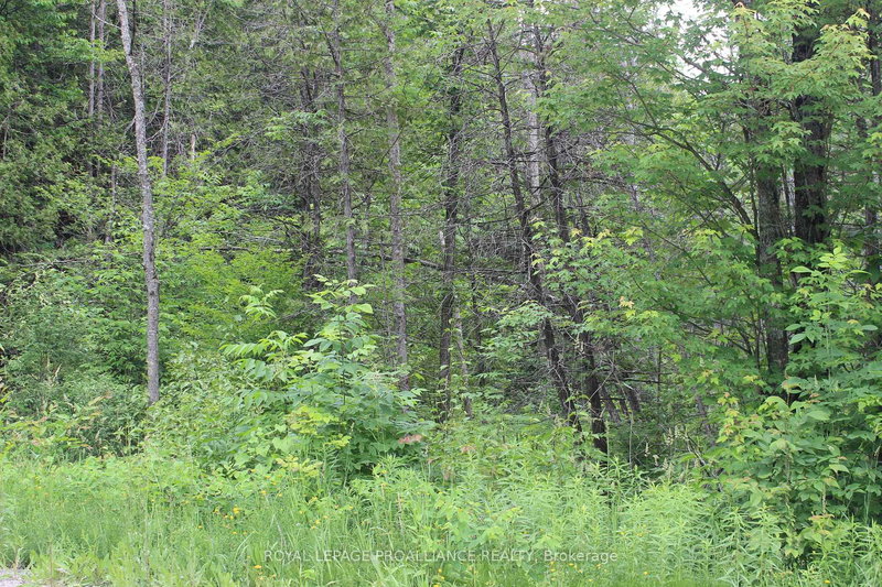 PT LT 11 RCP 2312, Bancroft, K0L 1C0 | Image 3