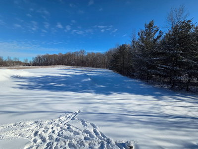 5229 German Road, Yarker, Ontario image-0-3