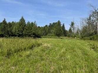 12992 #7 Highway, Carleton Place, K7C 3P1 | Image 3