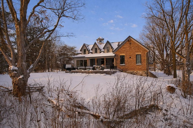 356598 The Blue Mountains- Euphrasia