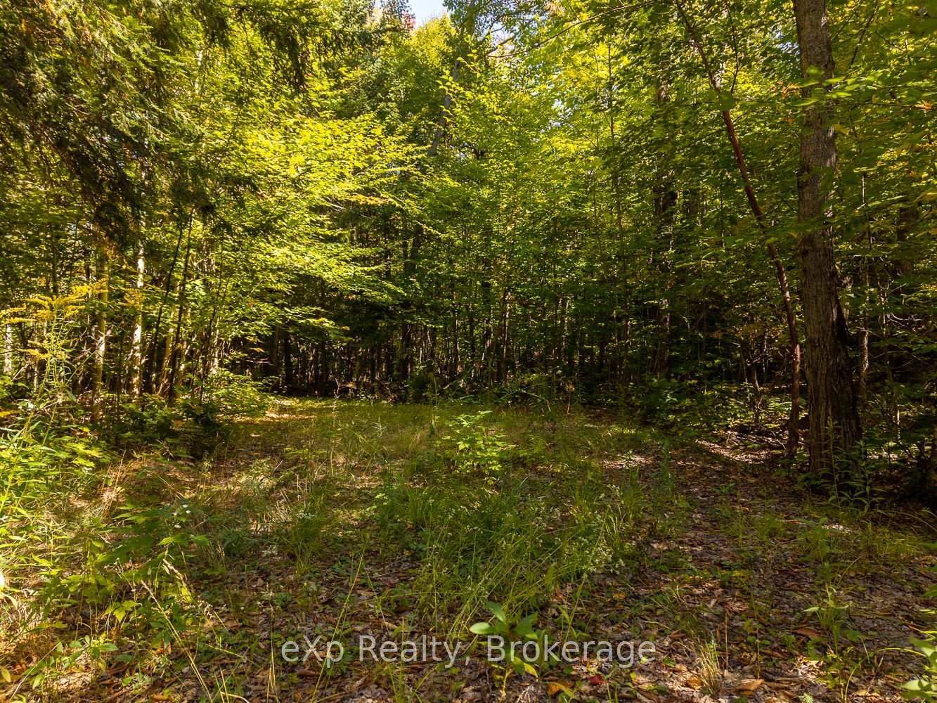 4 Fire Route 140 (Turtle Lane) Lane • McKellar, ON photo 36