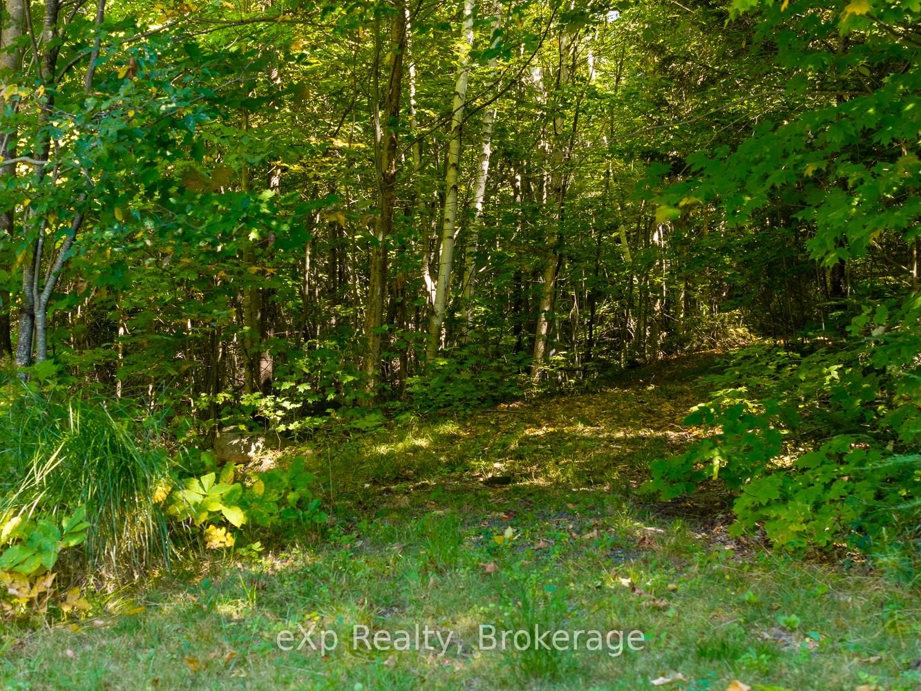 4 Fire Route 140 (Turtle Lane) Lane • McKellar, ON photo 38