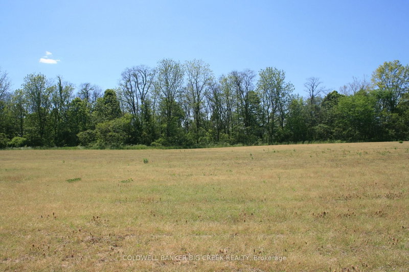 6349A Plank Rd photo 2