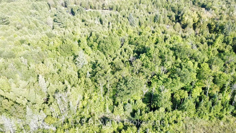 2822 Shannon Rd, Shannonville, K0K 3A0 | Image 3