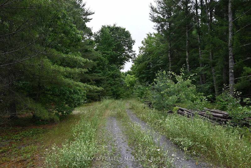 home for sale on 000 Highway 43 Highway W