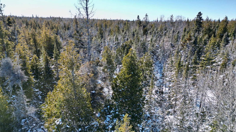 Lot 22 Ray Dr, Northern Bruce Peninsula, N0H 2R0 | Image 2