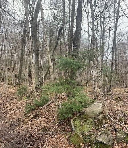 1154 Delia Rd photo 5
