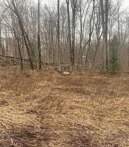 1154 Delia Road • Bracebridge, ON photo 8
