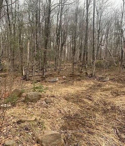 1154 Delia Road • Bracebridge, ON photo 9