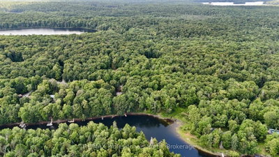 0 Sherwood Forest Road • Bracebridge, ON photo 3