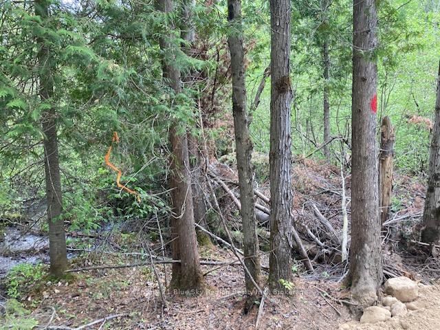 home for sale on Lot 28 Concession 11 null