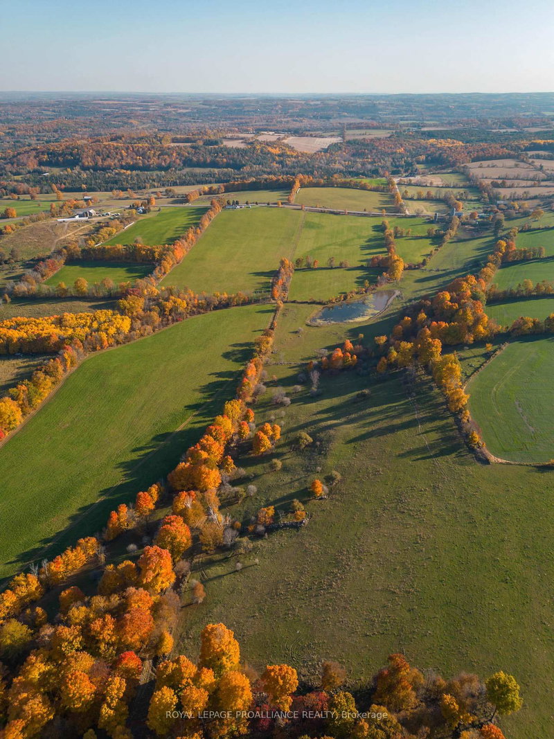 PT LT 23 & 24 County Road 24, Alnwick/Haldimand, K0K 2X0 | Image 3