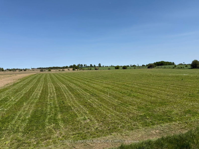 214131 10th Line, Amaranth, L9V 1K1 | Image 3