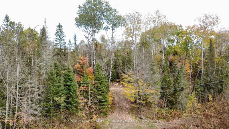 0 Forest Lake Rd, Joly, P0A 1X0 | Image 3