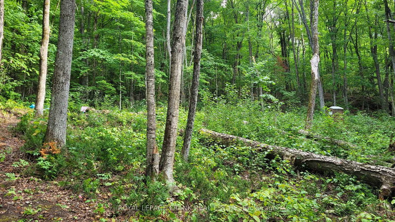 00 Lot 1 Elephant Lake WAO, Dysart et al, K0L 1M0 | Image 3