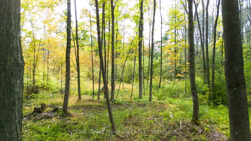 3590 ALTON Rd W, Harrowsmith, K0H 1V0 | Image 2