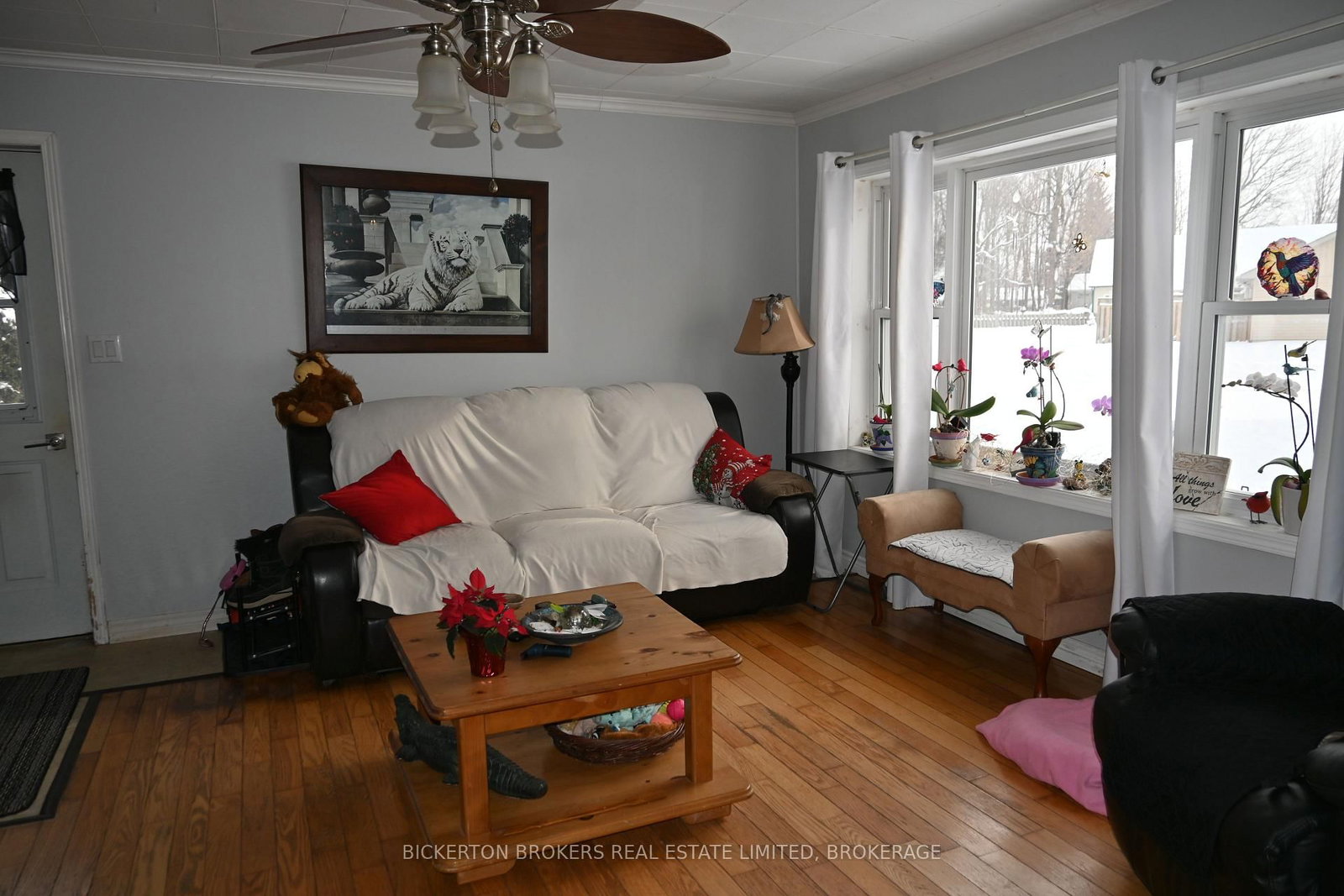 Listing Image 7