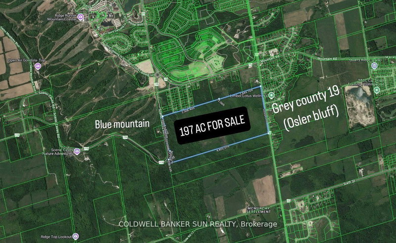 000 Grey County 19 Rd, Blue Mountains, L9Y 0N5 | Image 3