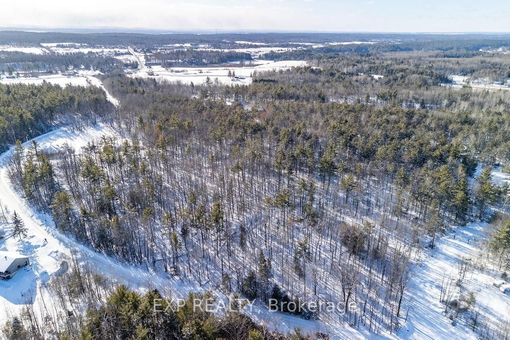00 Mine View Road • Haley Station, ON photo 5