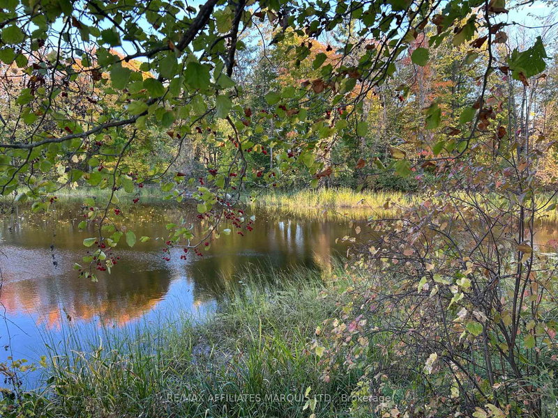 LOT County Road 17 Rd, South Glengarry, K0C 2J0 | Image 2