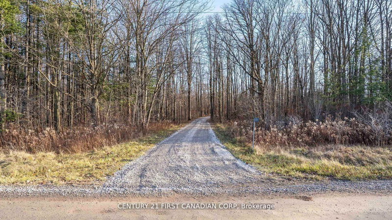 29709 CELTIC Line S, Dutton/Dunwich, N0L 1J0 | Image 3