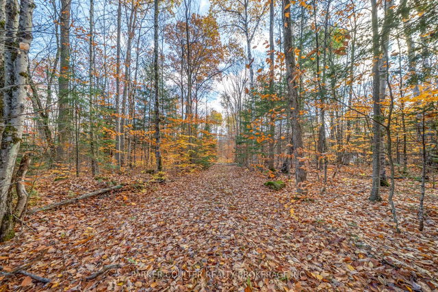 561 White House Road