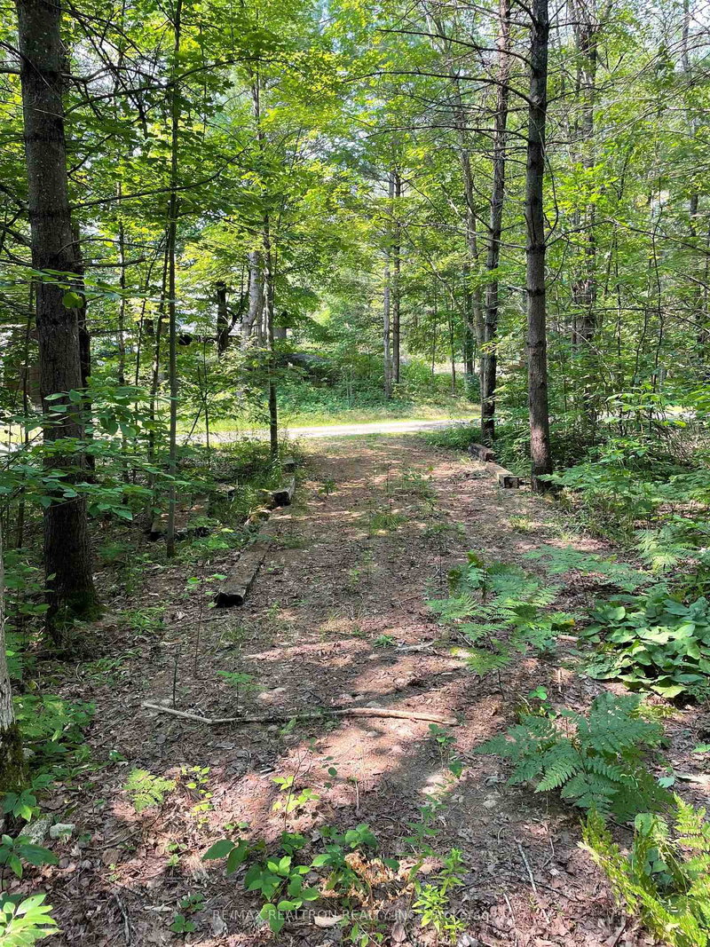 000 Green Place Rd, Gravenhurst, P0E 1G0 | Image 3