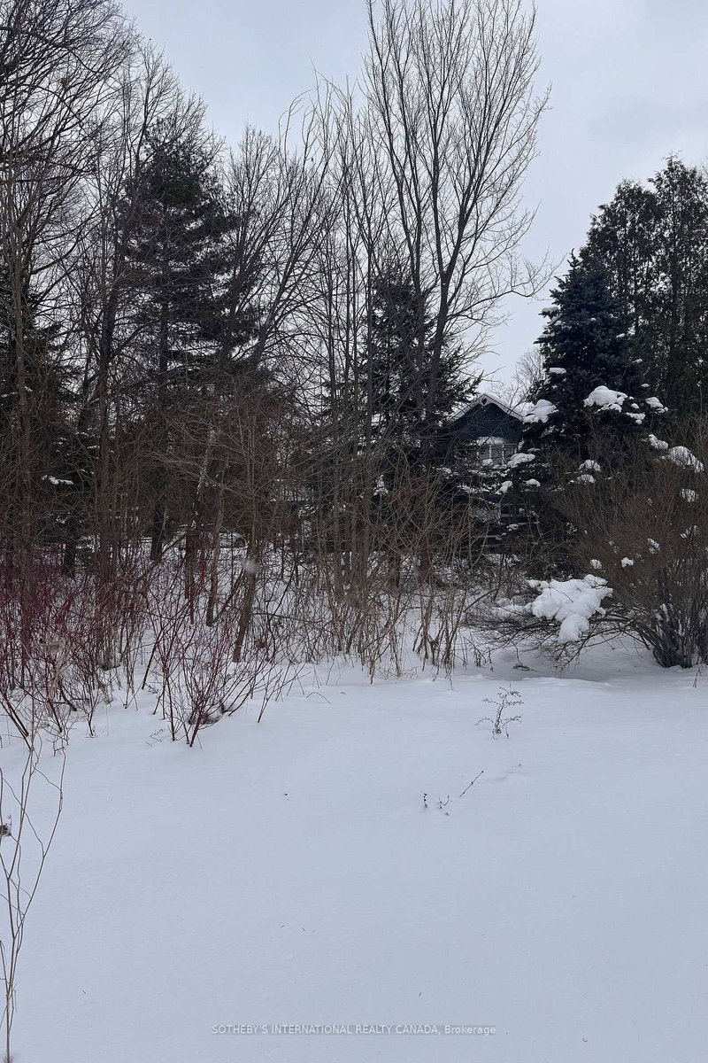 39 Pine River Cres, Mulmur, L0N 1M0 | Image 3