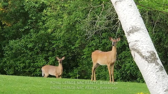 81 Riverview Boulevard