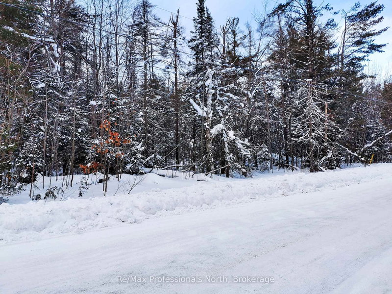 00 Germania Rd, Bracebridge, P1P 1R3 | Image 2
